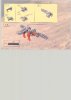 Istruzioni per la Costruzione - LEGO - 10023 - BIONICLE: Page 32