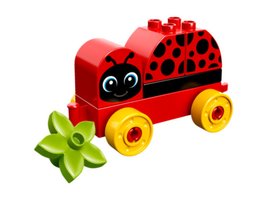 10859 - My First Ladybug