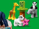 Istruzioni per la Costruzione - LEGO - 10904 - Baby Animals: Page 5