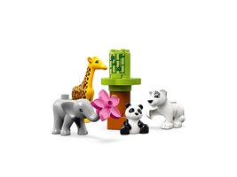 10904 - Baby Animals