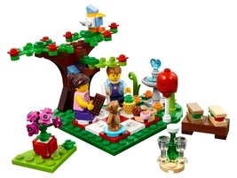 40236 - Romantic Valentine Picnic