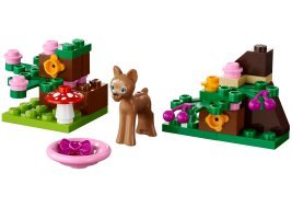 41023 - Fawn’s Forest