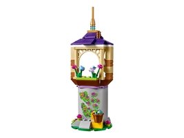 41065 - Rapunzel's Best Day Ever