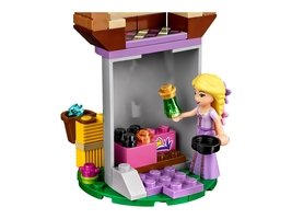 41065 - Rapunzel's Best Day Ever