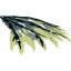 WING, 182X154MM,RIGHT,CUT PATTERN,